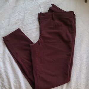 LOFT Stylish Burgundy Pants
